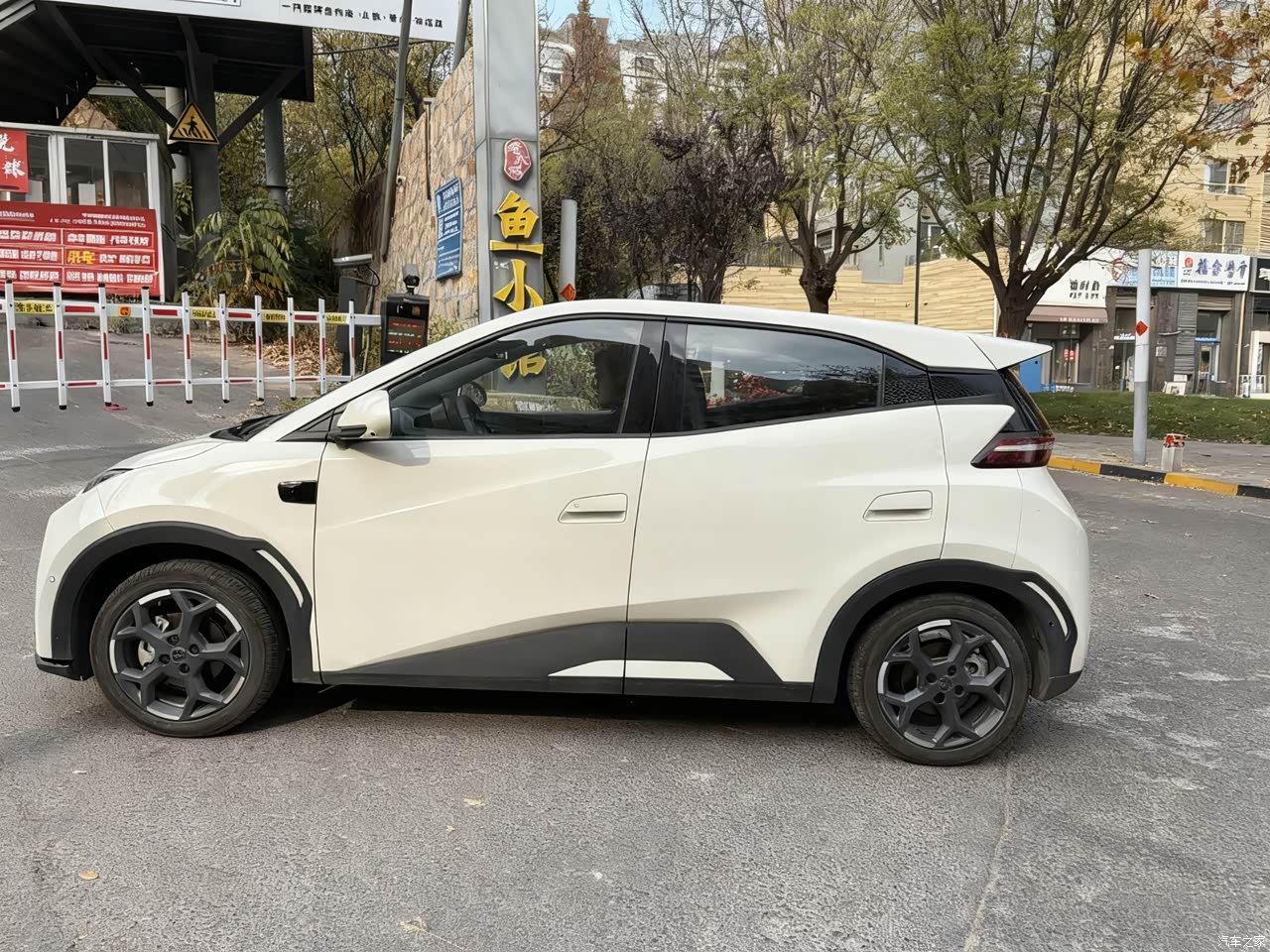 Where to Buy the BYD Seagull in the UK: Price, Dealers, and Buying Guide for British Drivers